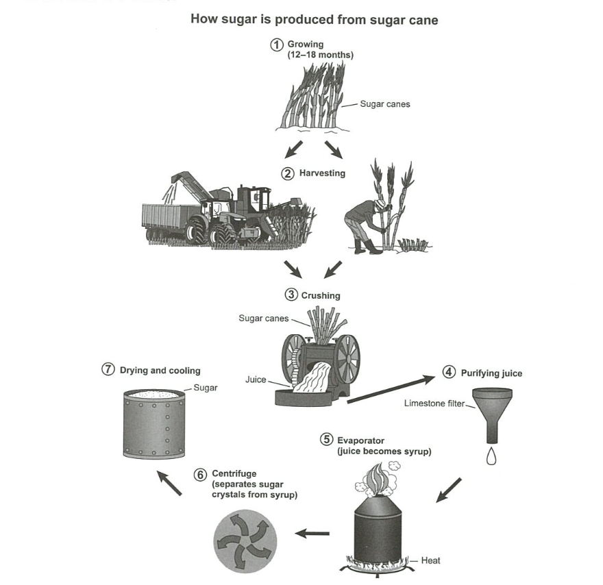task image